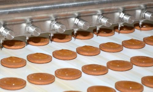 Мини-цех по производству печенья: оборудование и технология производства печенья