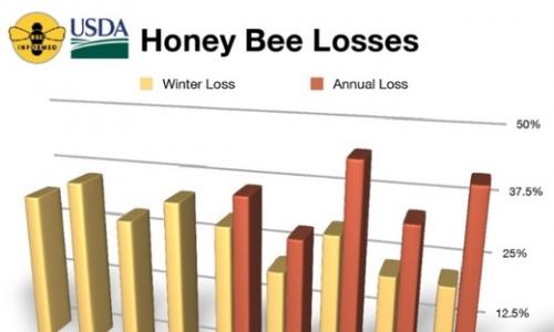 A méhek tömeges pusztulása elérte Oroszországot A méhcsaládok összeomlását befolyásoló tényezők